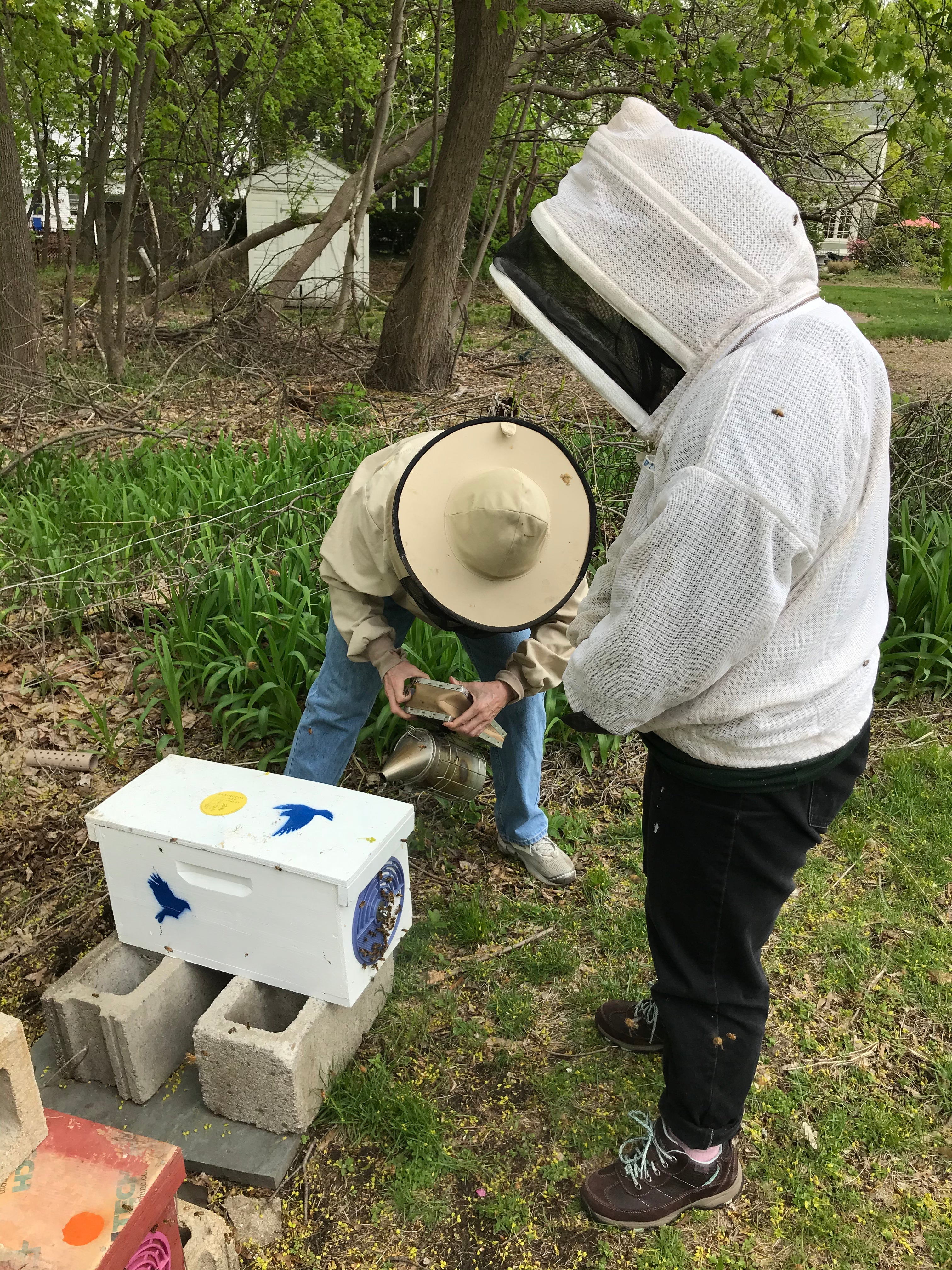 THE SUNDAY SCOOP 05/02/21: Hive Work at the Interfaith Garden ...