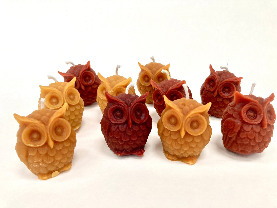 Honey Owls- 100% Beeswax Owl Candles